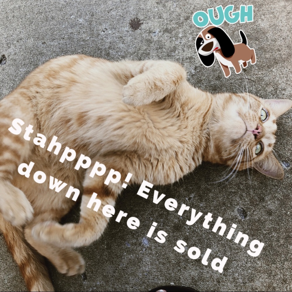 ❤️🦄HAULT ! ALL SOLD BELOW❤️🦄